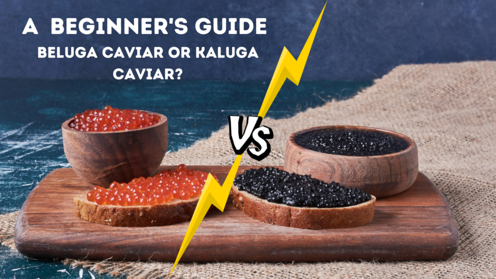 A Beginner's Guide Beluga Caviar or Kaluga Caviar