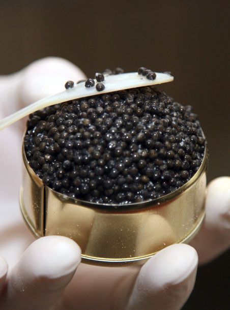 How Long Does Caviar Last