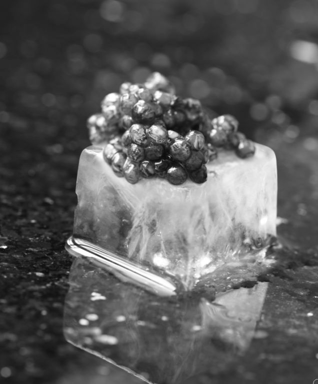 Caviar in Malaysia - Local Farms Caviar in Malaysia - Local Farms